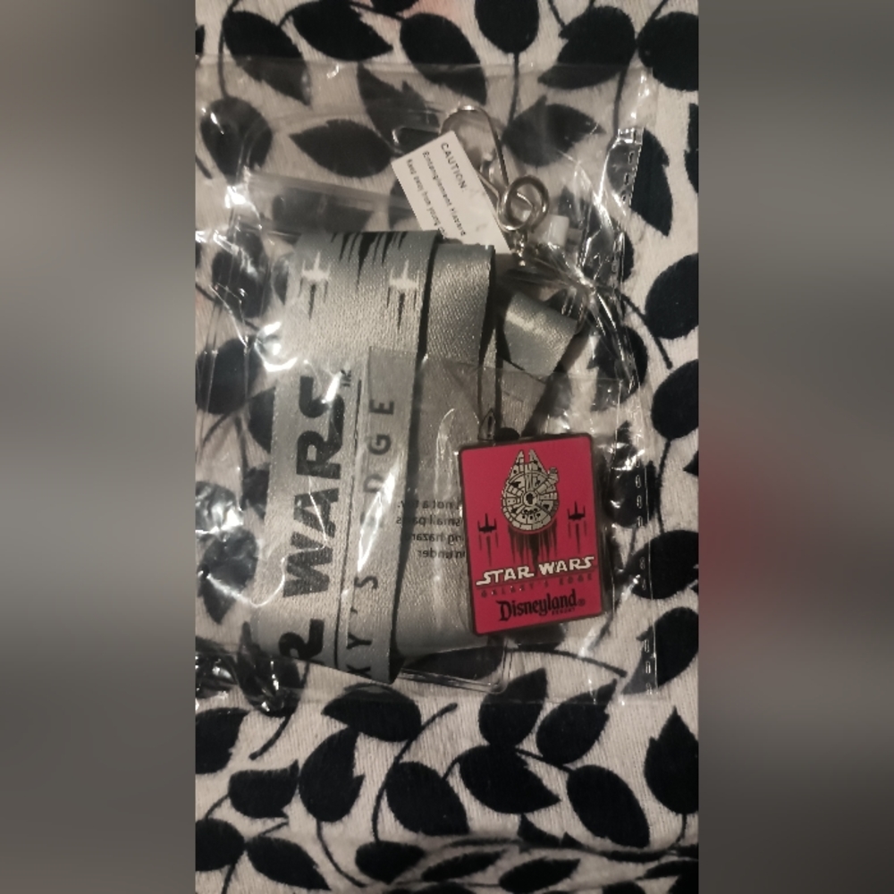 Disneyland Star Wars Galaxy's Edge Pin & Lanyard