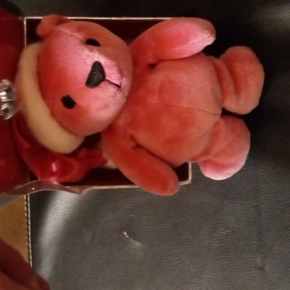 Gallery image 1 for Victoria's Secret Plush Bear & Box
