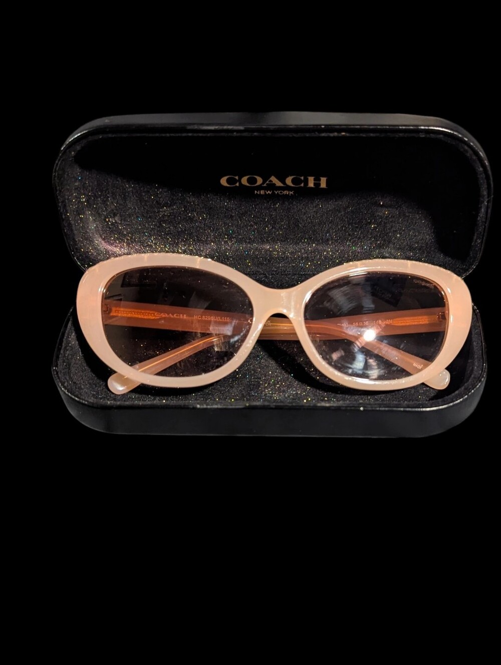 Coach Sunglasses HC8296U