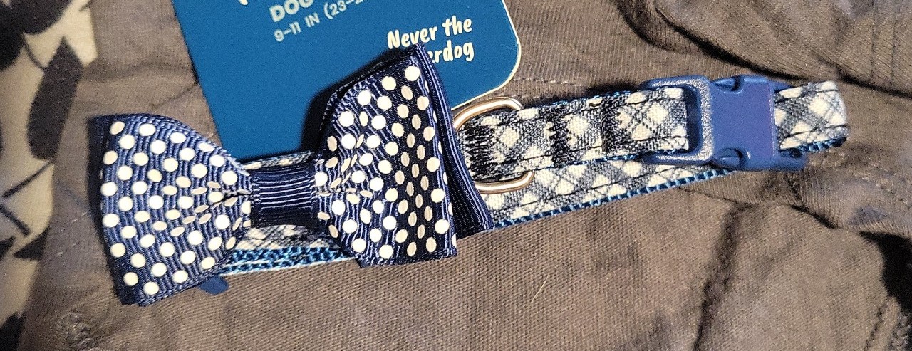 Gallery image 2 for YOULY Dog Apparel, XX-Small