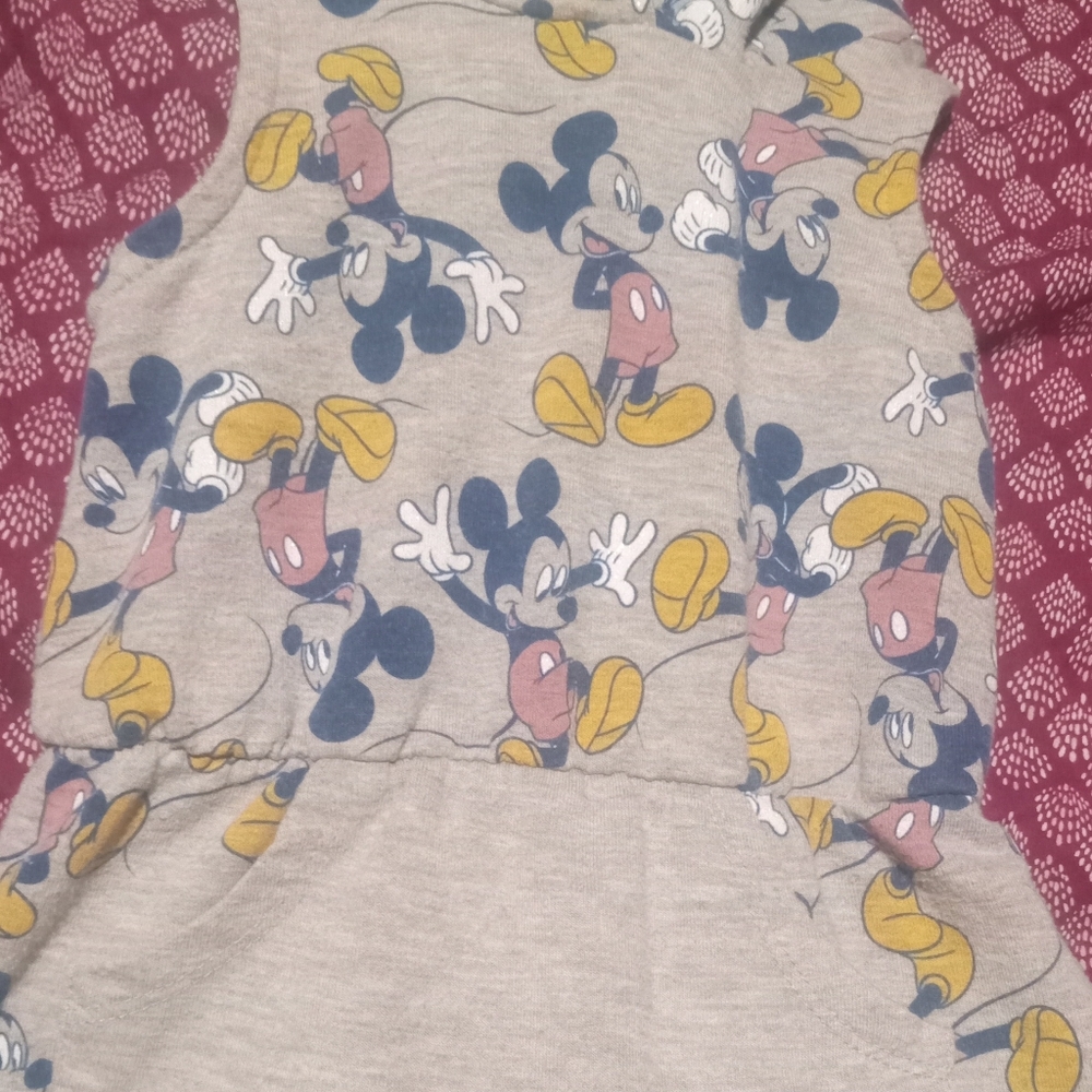 Gallery image 3 for Hooded Dress by Disney, 18 Months