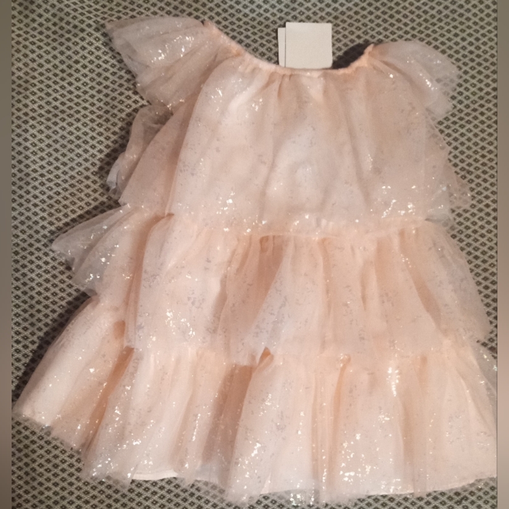 Gallery image 1 for Nordstrom Pink Lotus Tulle Dress w/Underpants